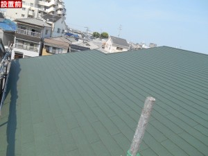 DSCN2237