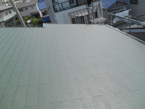 DSCN2238