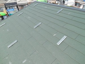 DSCN2244