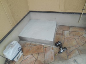 DSCN3064