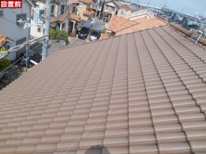 DSCN3096