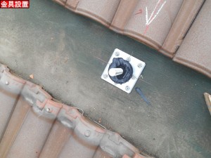 DSCN3100