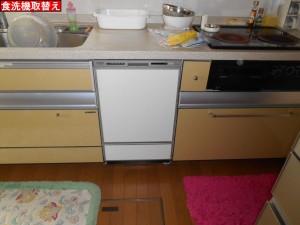 DSCN3159