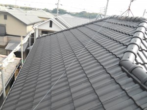 DSCN3560