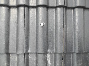 DSCN3565