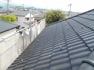 DSCN3566