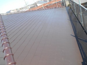 DSCN3679