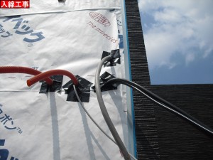 CIMG6201