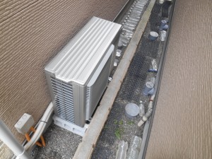 DSCN3972
