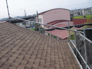 CIMG6961