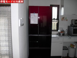 CIMG7877
