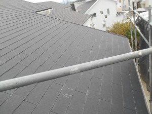 DSCN4438