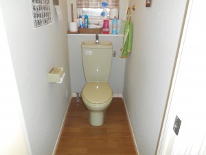 DSCN5125