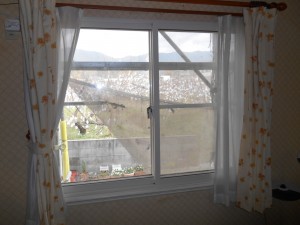 DSCN5140