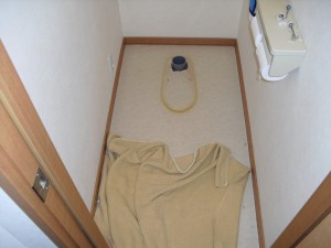 005 (2)