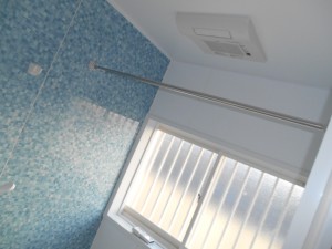 DSCN5247