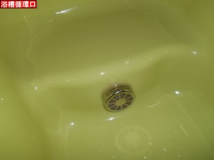 DSCN5495
