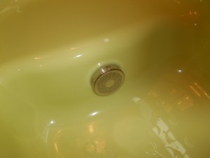 DSCN5500