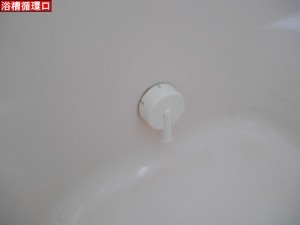 DSCN6201