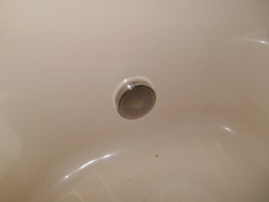 DSCN6206