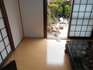 DSCN7731