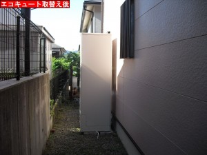 CIMG0376