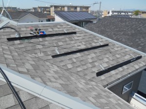 DSCN8295