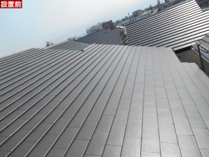 DSCN9460