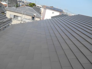 DSCN9461
