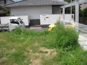 CIMG1401