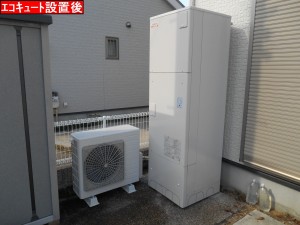 DSCN0684